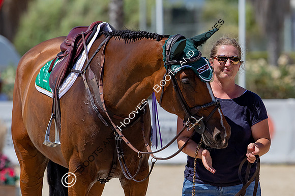 FEI Junior European Championship Young Riders, Juniors & Childre
