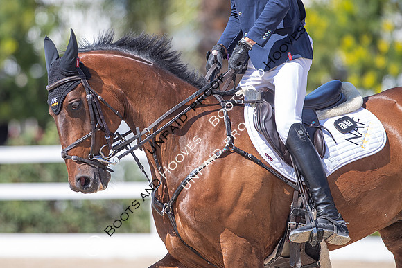 FEI Junior European Championship Young Riders, Juniors & Childre