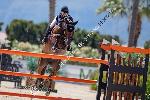 FEI Junior European Championship Young Riders, Juniors & Childre