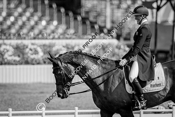 Badminton Horse Trials
