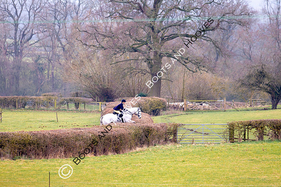The Ledbury Hunt