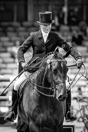 The Agria Royal International Horse Show
