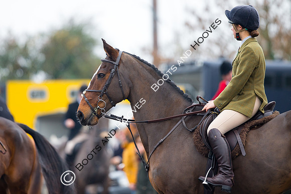 essex Hunt. Easton Harriers. Hunting. ~ MANDATORY Credit Elli Birch/Bootsandhooves - NO UNAUTHORISED USE - 07745 909676