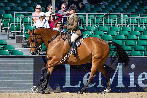 Royal Windsor Horse Show