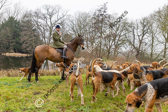 Puckeridge & Essex Hunts
