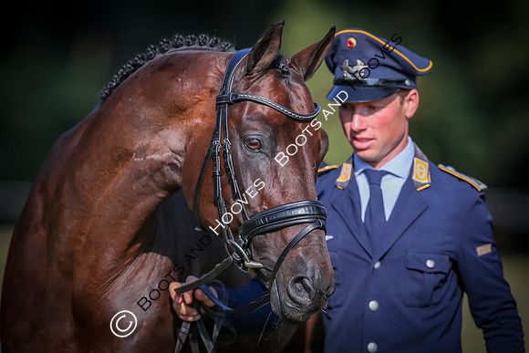Blenheim Palace International Horse Trials