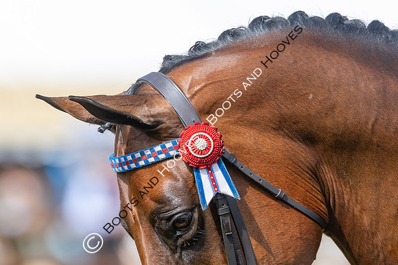 Royal Windsor Horse Show