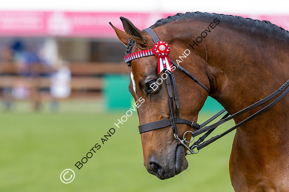 Royal Windsor Horse Show