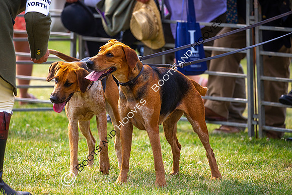 Festival of Hunting