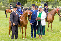 The Agria Royal International Horse Show