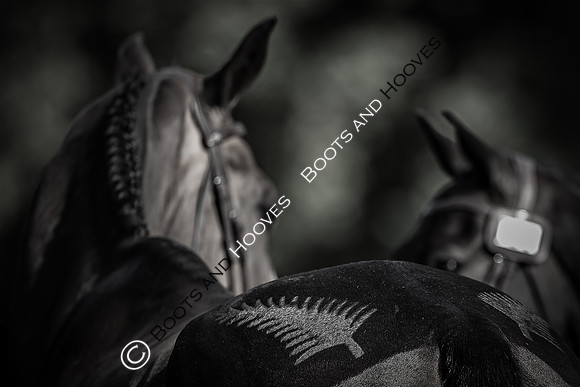 Blenheim Palace International Horse Trials