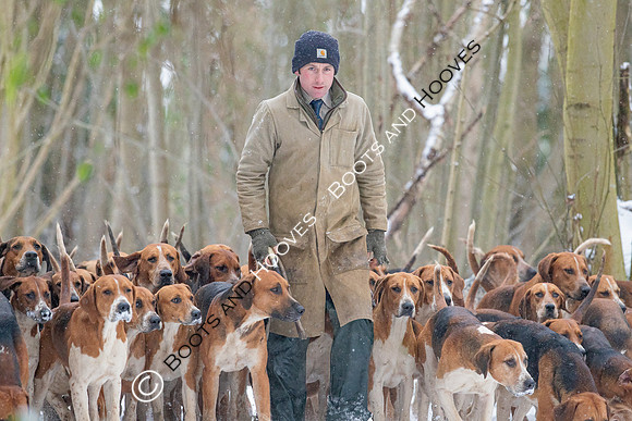Hound Exercise