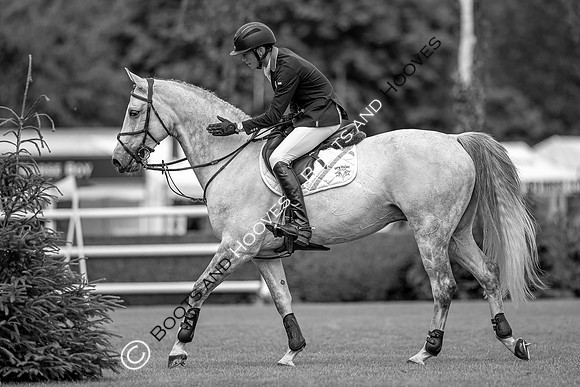 Showjumping