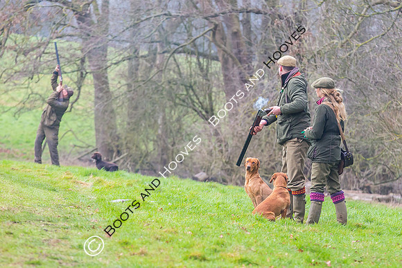 Dines Hall Game Shoot. 23/01/2019 ~ MANDATORY Credit Nick Gunn/Bootsandhooves - NO UNAUTHORISED USE - 07745 909676