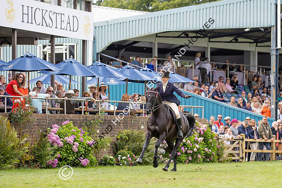 The Agria Royal International Horse Show