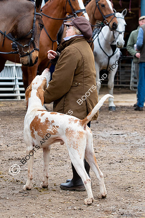The Ledbury Hunt