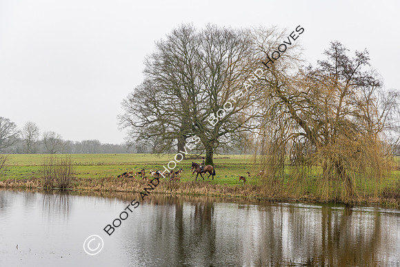 Puckeridge & Essex Hunts