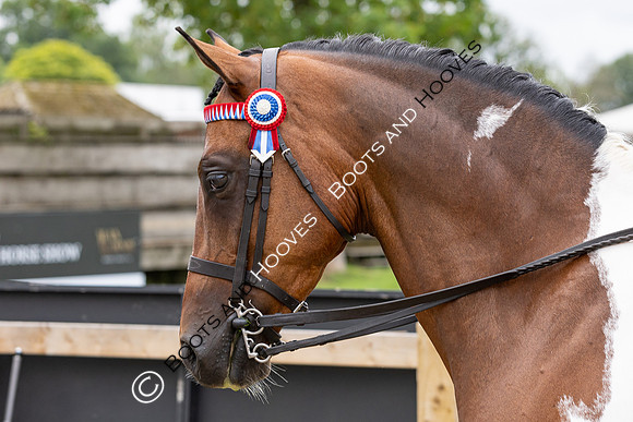 The Royal International Horse Show