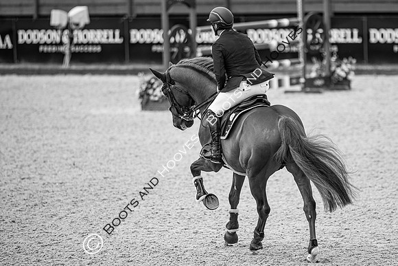 Newmarket Gallops