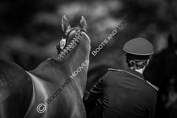 Blenheim Palace International Horse Trials
