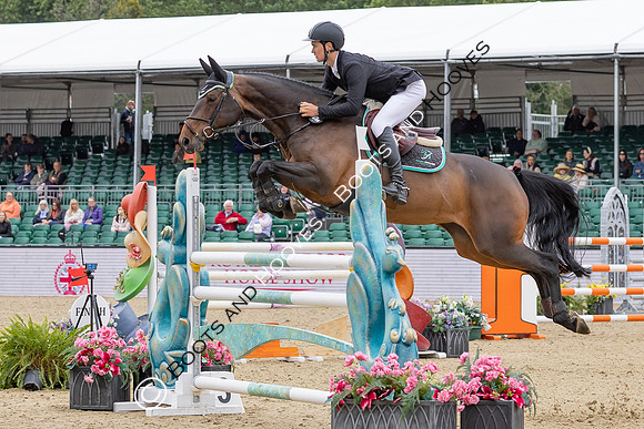 Royal Windsor Horse Show