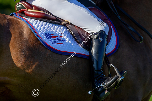 Science Supplements All England Jumping Championships