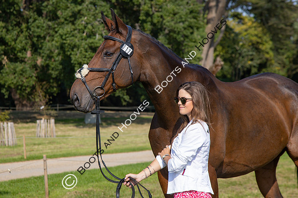 Blenheim Palace International Horse Trials