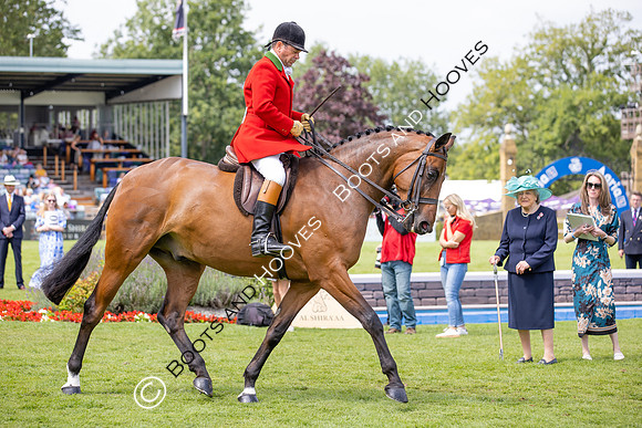 The Agria Royal International Horse Show