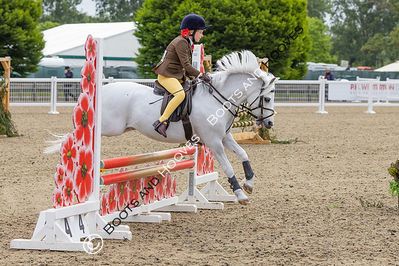 Royal Windsor Horse Show