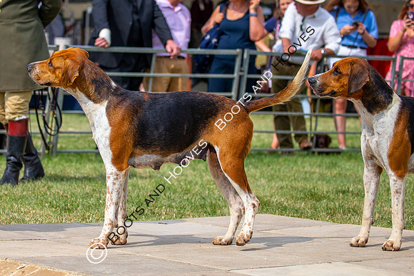 Festival of Hunting