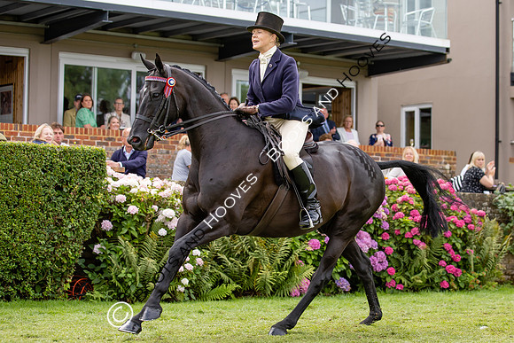 The Agria Royal International Horse Show