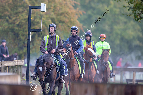 Newmarket