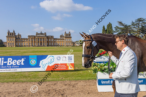 Blenheim Palace International Horse Trials