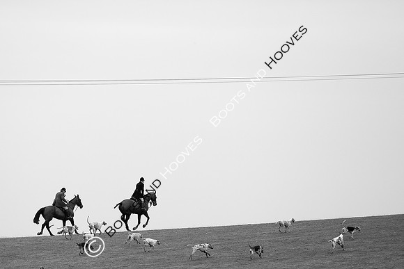 The Ledbury Hunt