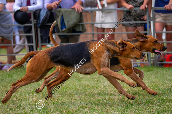 Festival of Hunting