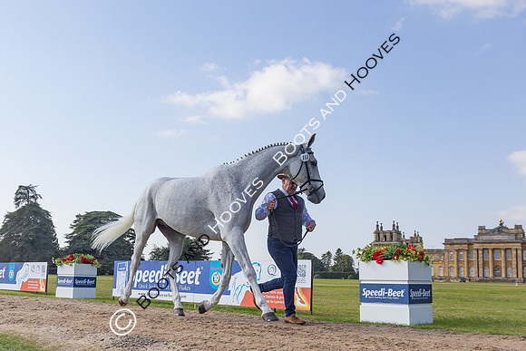 Blenheim Palace International Horse Trials