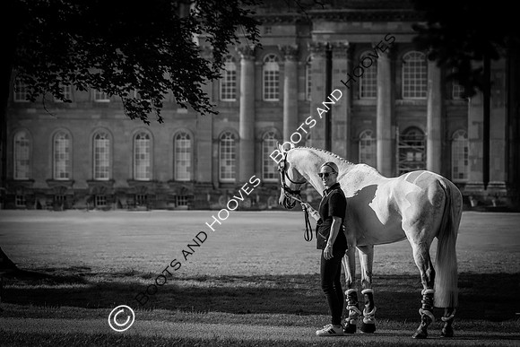 Blenheim Palace International Horse Trials