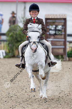 Royal Windsor Horse Show
