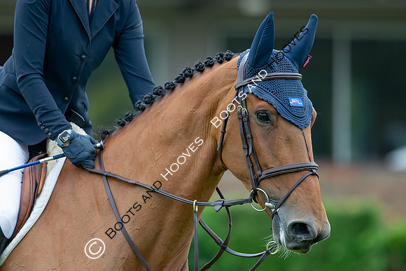 The Prenetics Royal International Horse Show