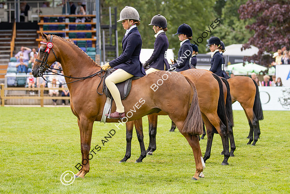 The Agria Royal International Horse Show