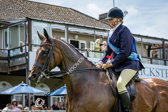 The Al Shira'aa Hickstead Derby Meeting