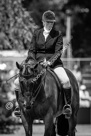 The Al Shira'aa Hickstead Derby Meeting