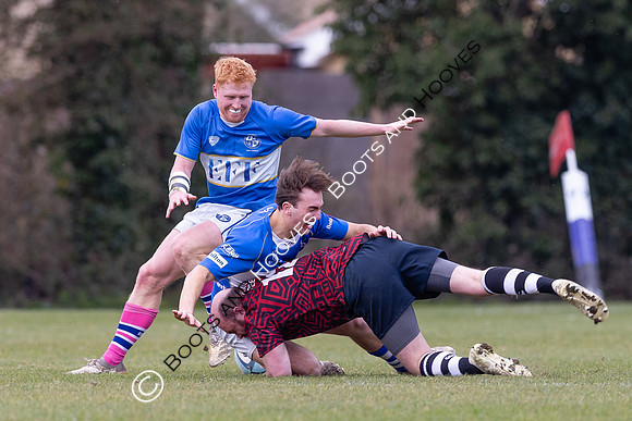 BSRFC v Royston
