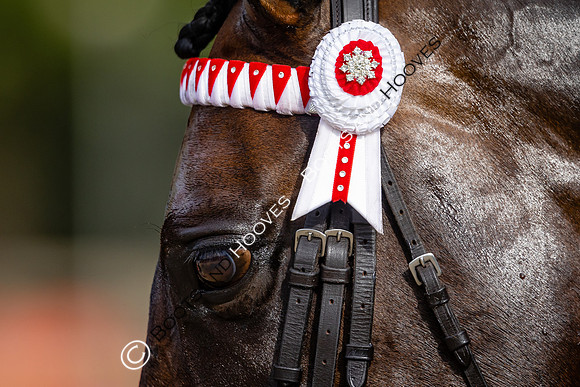 The Royal International Horse Show