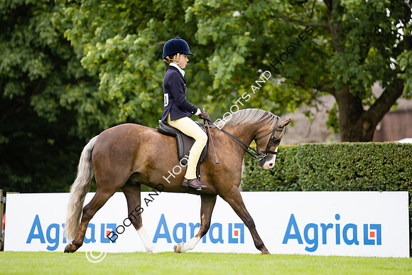 The Agria Royal International Horse Show