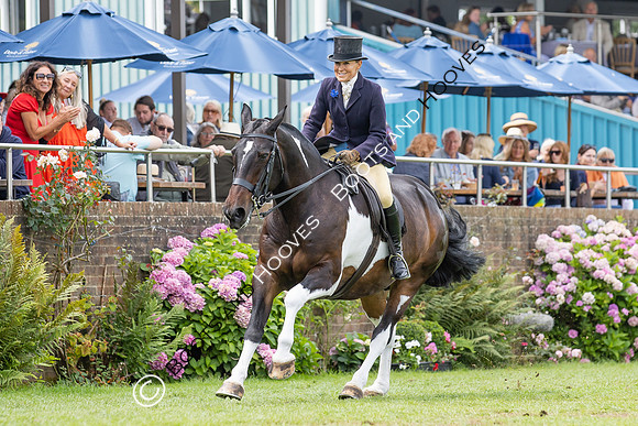 The Agria Royal International Horse Show