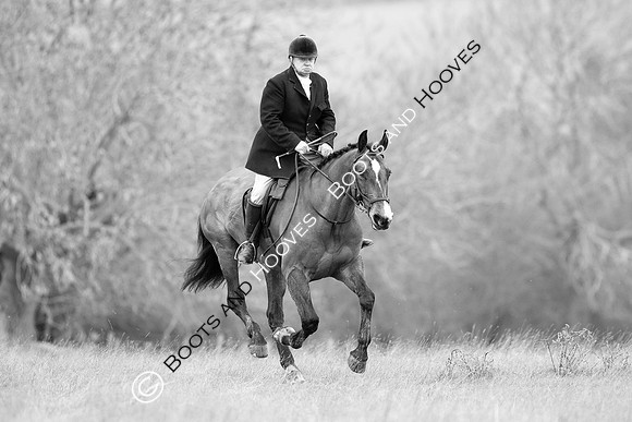 The Ledbury Hunt