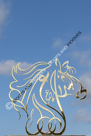 The Al Shira'aa Hickstead Derby Meeting