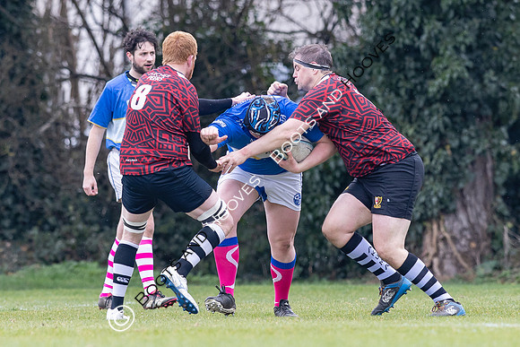 BSRFC v Royston