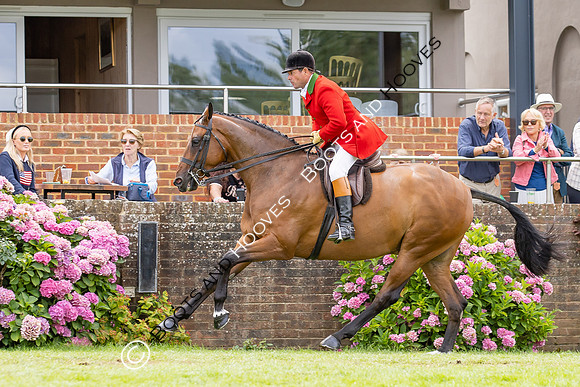 The Agria Royal International Horse Show